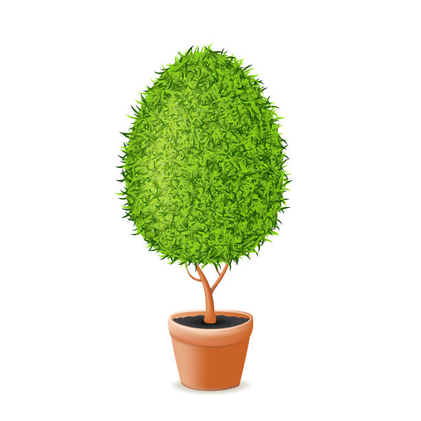 绿草鸡蛋在锅里图片下载