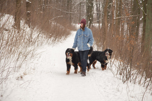 女孩与狗图片下载