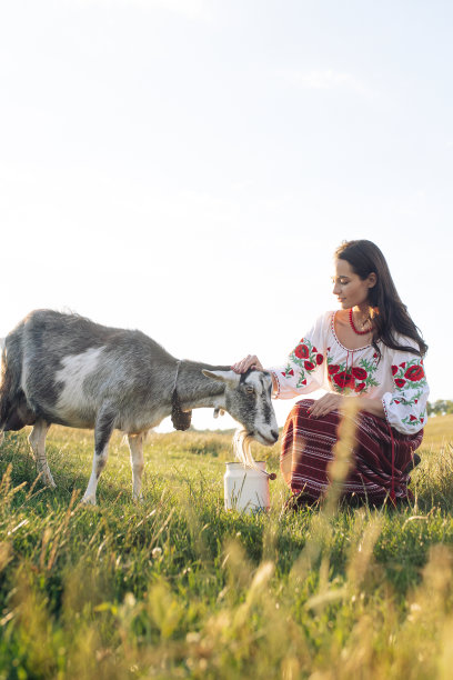 日落时分，身着传统民族服饰的年轻乌克兰妇女在牧场上用水罐给山羊浇水。图片下载