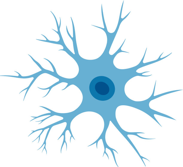 人类神经元细胞大脑神经元图片下载