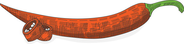 红辣椒手绘红辣椒素描红辣椒图片下载