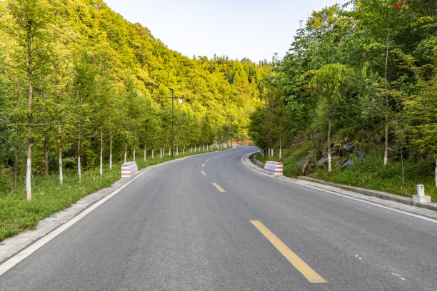 乡村森林中的柏油路图片下载