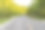 乡村森林中的柏油路图片下载