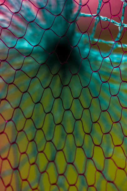 绿色塑料绳网图片下载