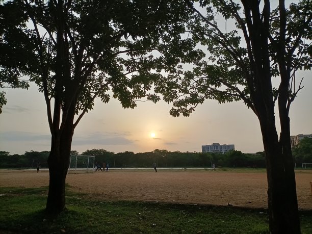 太阳在操场升起的照片图片下载