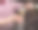新娘和新郎手持香槟杯图片下载