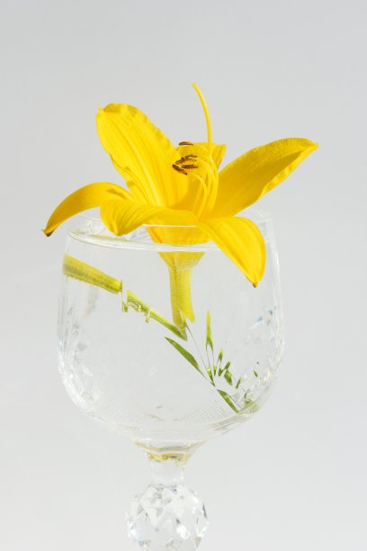 黄色的黄花菜花在一个玻璃杯图片下载