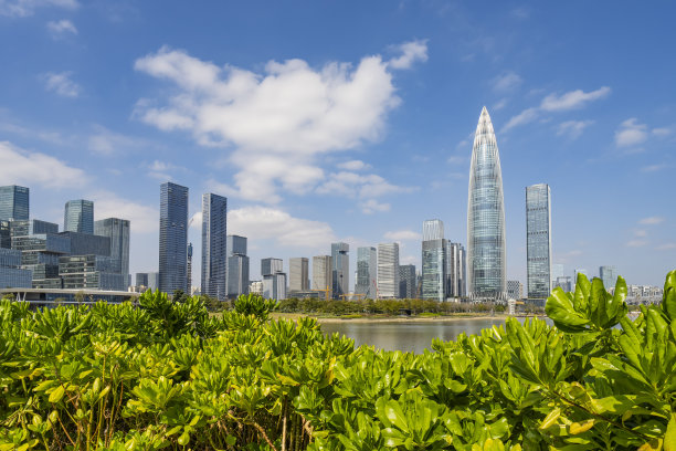 公园在中国深圳市，美丽的绿色树木结合建筑，现代建筑，完全蓝色的天空。图片下载