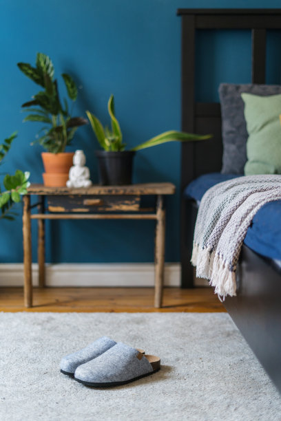 蓝色舒适的卧室，床边有拖鞋图片下载