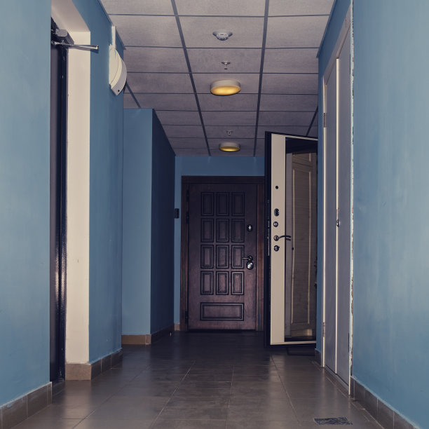 公寓楼入口的深棕色门，走廊的墙壁是蓝色的图片下载