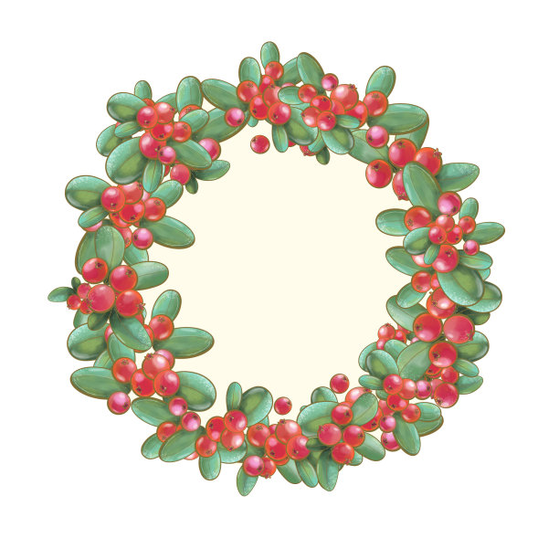 设计圆形框架元素花环与温和的粉红色背景和插图植物学野生浆果越橘红色阴影秋季明信片打印装饰图片下载