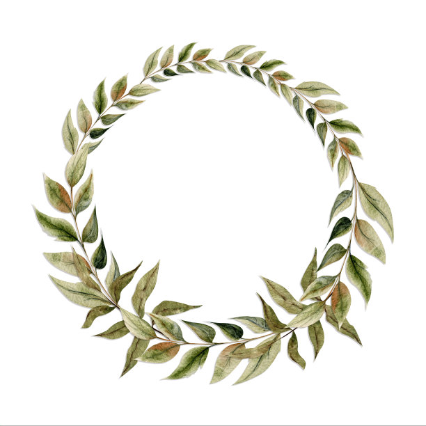 水彩画框布置，手绘秋花枝叶。孤立在白色背景。设计邀请，婚礼或贺卡，墙纸，印刷，纺织品图片下载