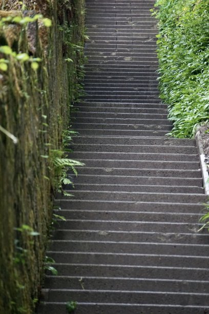 瑞士的绿色伯尔尼。春天在瑞士首都。跑道，桥梁，一切都是绿色的。伯尔尼嫩嫩的青菜。图片下载