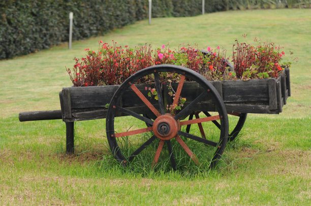 手推车-推车-木制古董与鲜花图片下载
