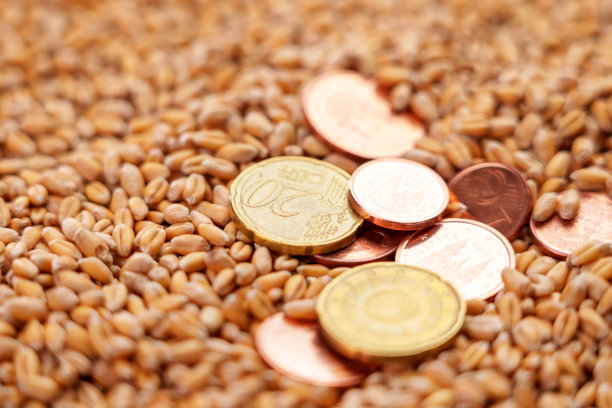 硬币美分在一堆生谷物特写图片下载