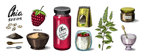 奇亚植物和种子鼠尾草香料图片下载