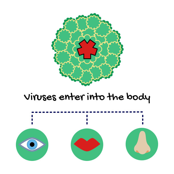 鼻病毒是引起普通感冒的主要原因，它可以通过眼睛、嘴巴和呼吸道进入人体图片下载