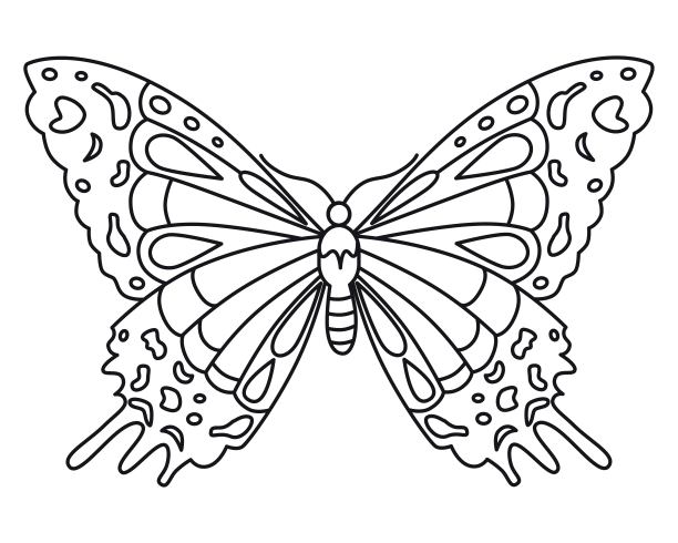 蝴蝶。的矢量图。图片下载