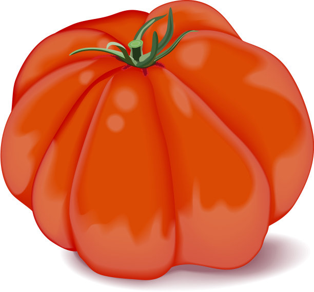 牛肉番茄牛排番茄图片下载