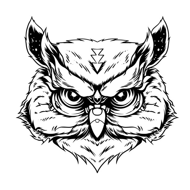 猫头鹰头部素描纹身或图片下载