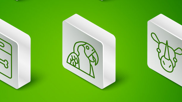 设线猫海龟河马或河马金刚鹦鹉图片下载