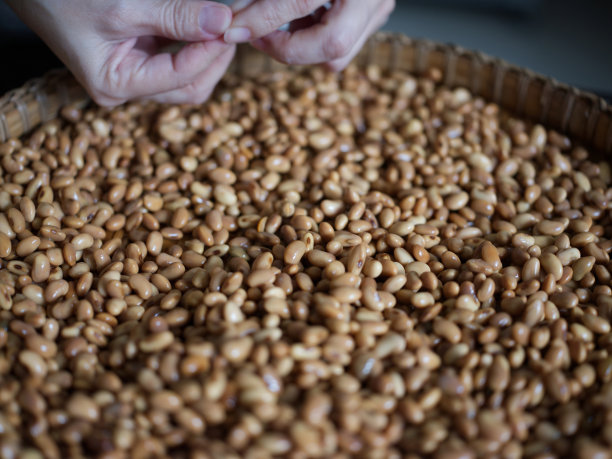 特写照片的纹理大豆如何大豆产品:生自制豆豉。健康素食的概念图片下载