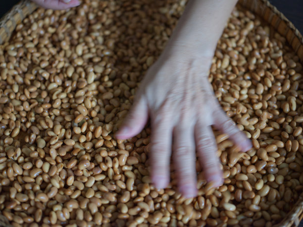 特写照片的纹理大豆如何大豆产品:生自制豆豉。健康素食的概念图片下载