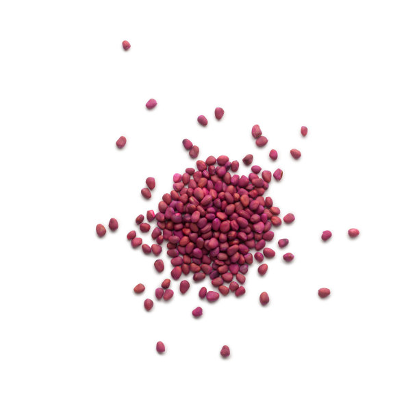 白萝卜的种子堆在白色的孤立图片下载