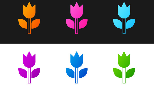 设置照片模式宏图标隔离在黑色和图片下载