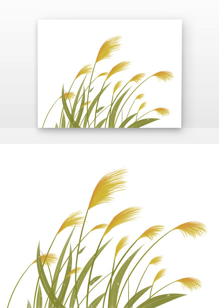 手绘寒露芦苇图片下载