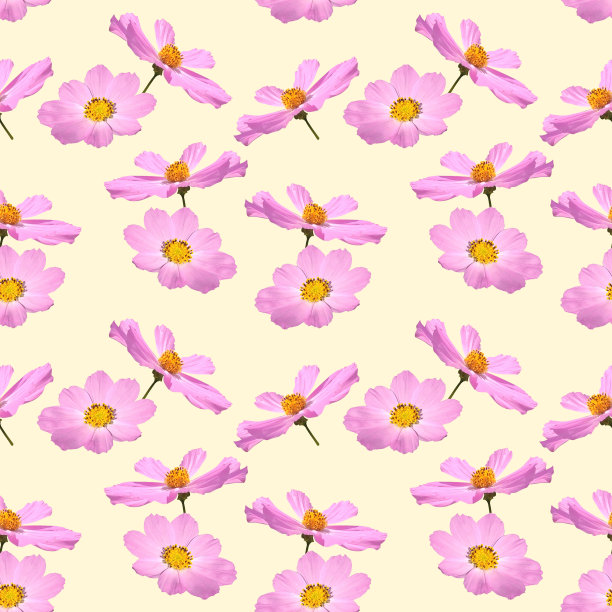 无缝可爱的花卉图案与粉红色的宇宙花，在一个浅黄色的织物设计背景，壁纸。图片下载