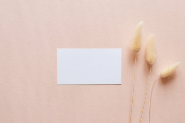 白色邀请，折扣或名片模型与lagurus在浅粉色粉末背景。极简主义的风格。模板。俯视图图片下载