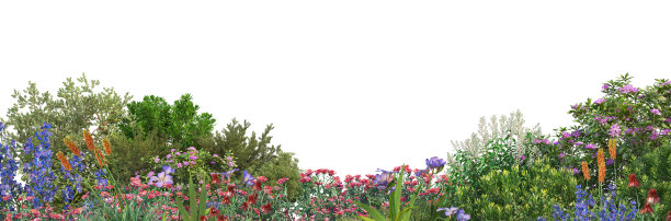 白底上开满了花图片下载