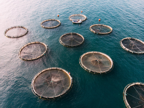 无人机观察海洋中的养鱼场图片下载