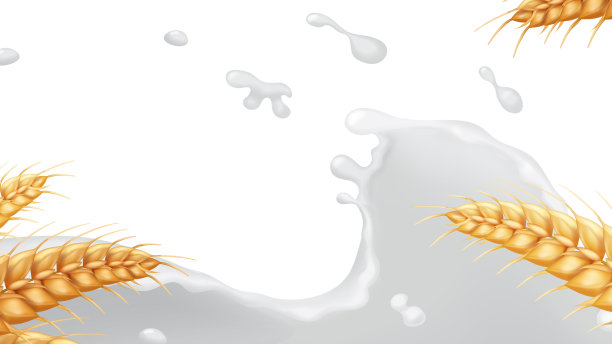 洒上麦穗牛奶或酸奶图片下载