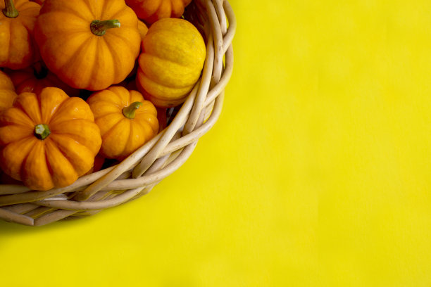 黄色背景与南瓜在篮子。篮子里的小南瓜图片下载