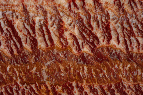 红宝石质地，色彩艳丽，部分外观独特。图片下载