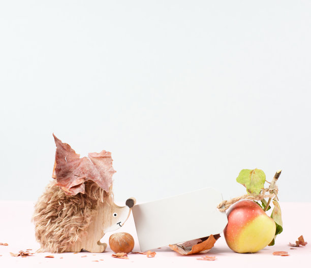 秋天的背景用五颜六色的叶子，一个空白的标签，一个刺猬和一个苹果，玫瑰的彩色模板和贺卡图片下载