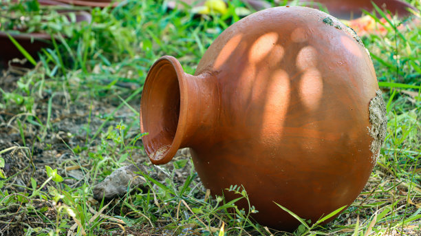 草地上放着一壶水图片下载