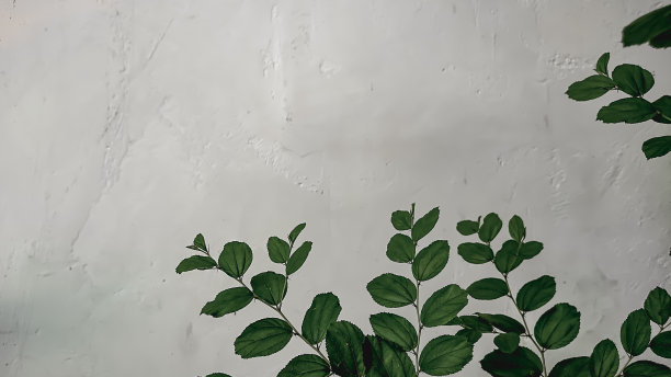 叶子主题壁纸图片下载