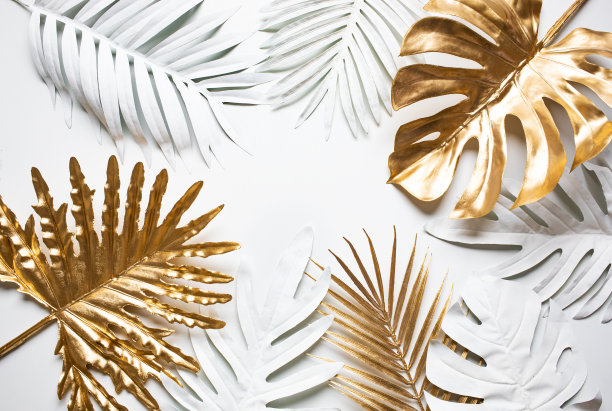 收集热带树叶，树叶优雅的风格与金色，银色的颜色。抽象的树叶装饰设计图片下载