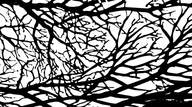 粗糙的裂纹纹理与许多裂纹和图片下载