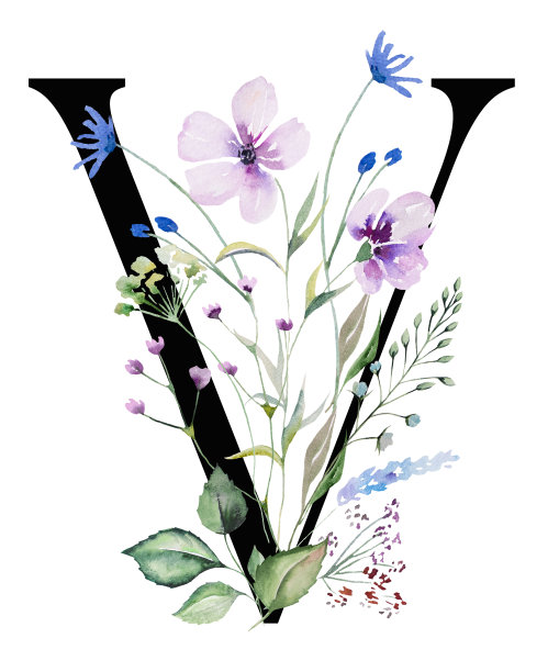 黑色大写字母V与水彩野花和树叶，孤立的婚礼元素图片下载