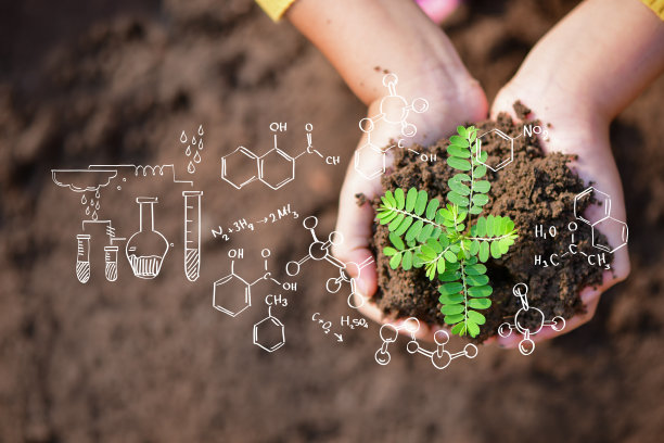 具有生物化学结构的植物。图片下载