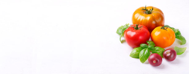 网上横幅与各种各样的彩色西红柿在白色图片下载