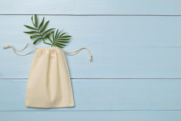 绿色环保小袋，彩色背景。俯视图图片下载