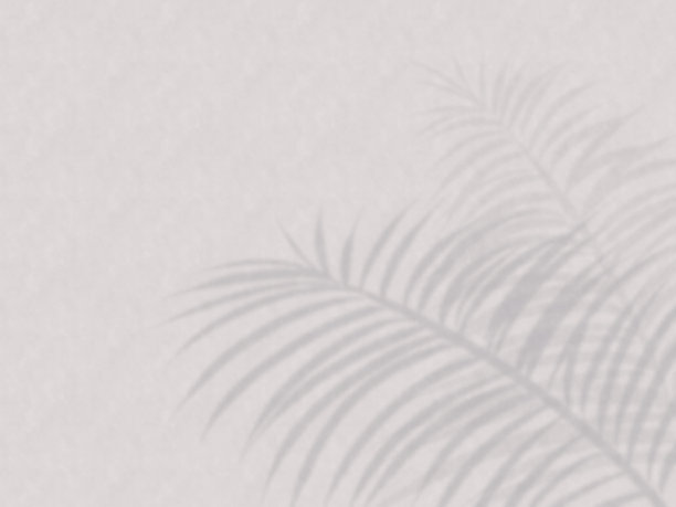 粉红色的墙背景与树叶的阴影图片下载