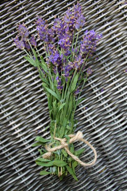 柳条桌背景上的一束新鲜的薰衣草花。图片下载
