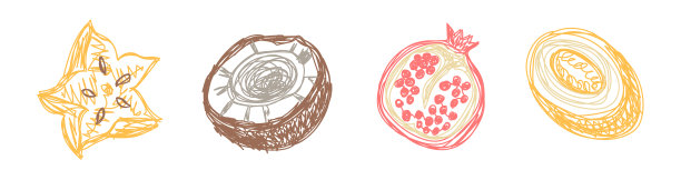 杨桃、椰子、石榴、瓜。水果素描集。手绘矢量插图。用钢笔或马克笔涂鸦图片下载