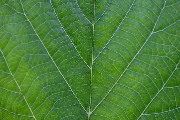 宏观性质图片下载